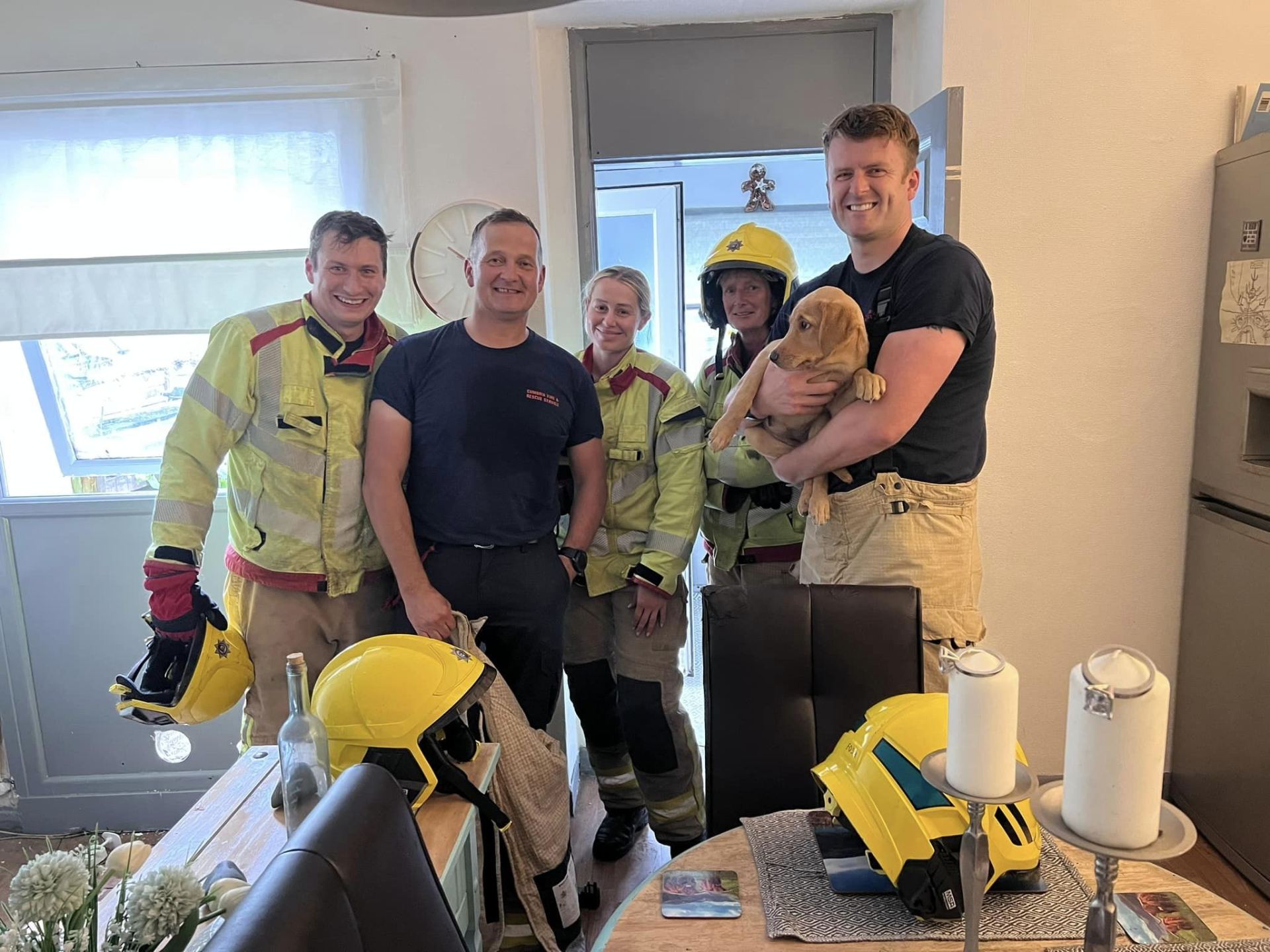 Puppy rescued by firefighters after getting head stuck in wall | Need ...