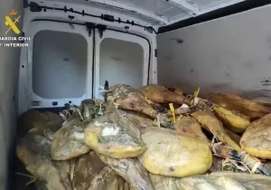 The stash of ham which were stolen from a ham drying facility.
