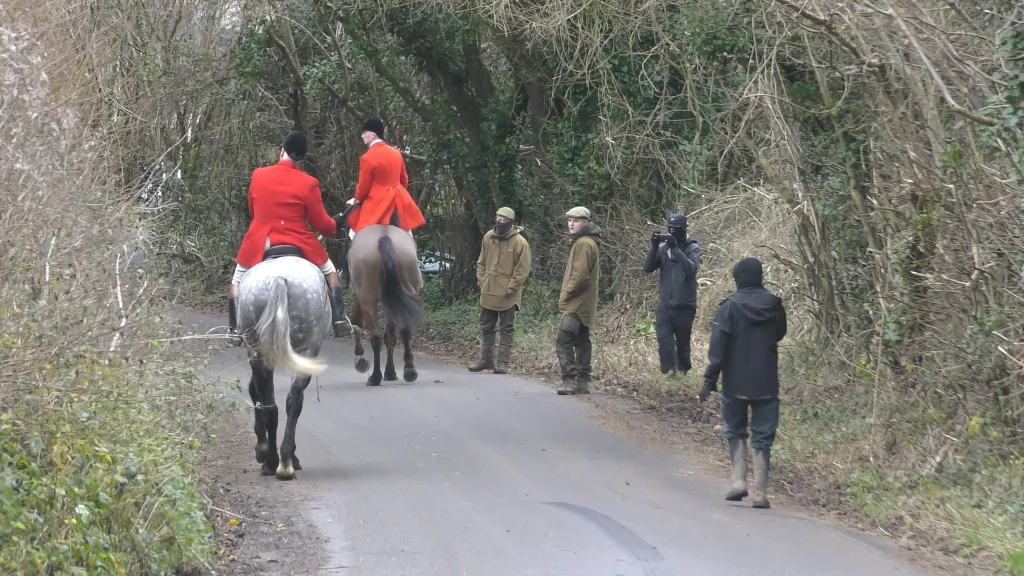 The dogs and people riding horses at the annual Boxing Day hunts around the UK.