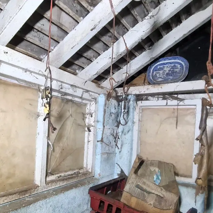 Man finds abandoned 90s ‘HORROR HOUSE’ – filled with ‘bones and wet flesh’