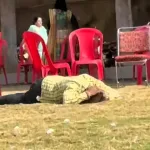 A wedding ceremony in Guna, Madhya Pradesh, India, was disrupted when a swarm of bees descended, stinging the bride, groom, and 23 guests