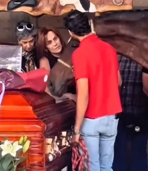 Influencer Elena Larrea, known for her animal activism and horse sanctuary, was mourned by the horses she saved from abuse after her sudden death at 31.