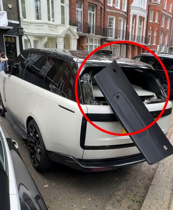 VIDEO: Range Rover parked in one the capital’s poshest streets near Harrods targeted by thieves