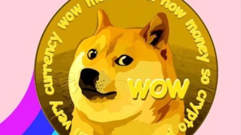 Kabosu, the Viral 'Doge' Meme Shiba Inu and Dogecoin Inspiration ...