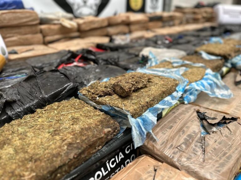Mum and sons are arrested ‘with more than half a tonne of drugs’ at ...