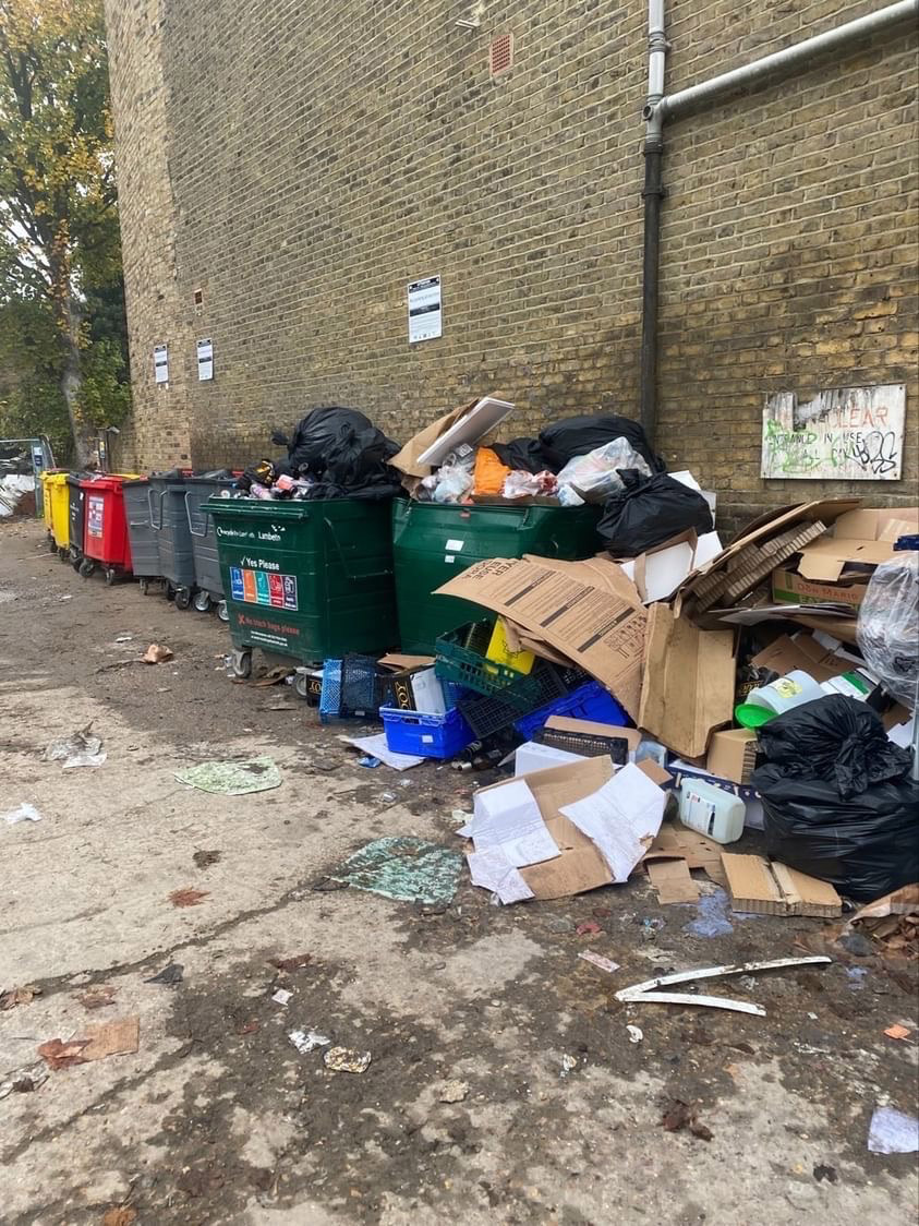 Poop Hoarding ‘Rat infestations, poo on our doorstep and overflowing bins – we are ...