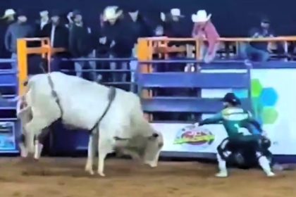 Cowboy Fabiano Pinheiro Rocha, 36, tragically died after a bucking bull kicked him at the Fátima Fest rodeo in Brazil, highlighting the dangers and controversy of the sport.