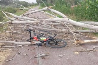 Cyclist Angelo Paolucci survived a falling tree in Rome, thanks to quick reflexes and his helmet. Despite damage to his brand-new €8,000 bike, he escaped with minor injuries.