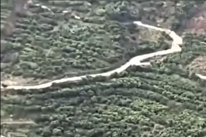 A spectacular landslide in Jiajiadian Village, China, destroyed a hillside road and several citrus orchards. Remarkably, no casualties were reported as 800,000 cubic meters of debris flowed downslope.