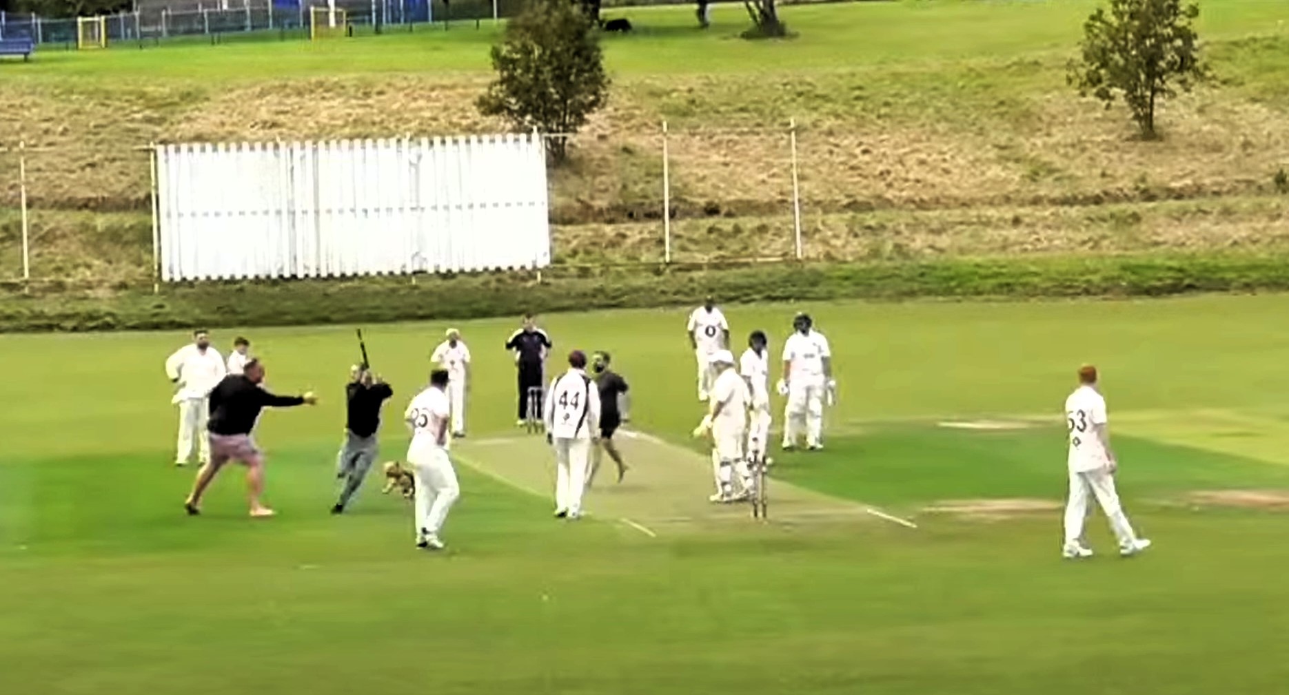 A cricket match in Deeside, North Wales, was interrupted by two brawling spectators. The shocking incident, now under police investigation, left players and fans stunned.
