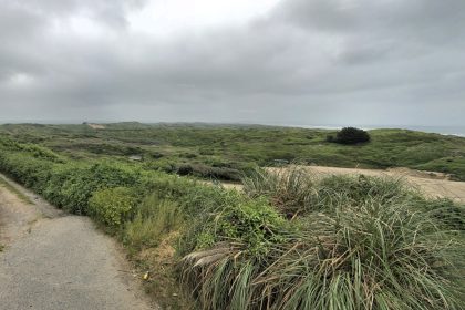 A mum and daughter in critical condition after multiple adder bites at Braunton Burrows, Devon. Urgent anti-venom delivered, both expected to recover. Stay vigilant.