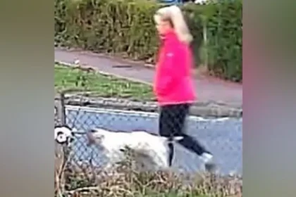 Anita Rose, 57, dies from severe injuries after a dog-walking attack in Brantham, Suffolk. Police re-arrest suspect on murder charges; investigation ongoing.