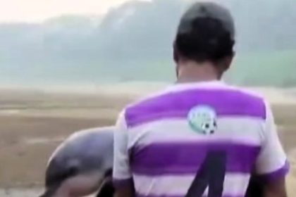 Everyday hero saves stranded dolphin during Brazilian drought, carrying it to safety. The heartwarming rescue highlights the impact of drought on endangered species.