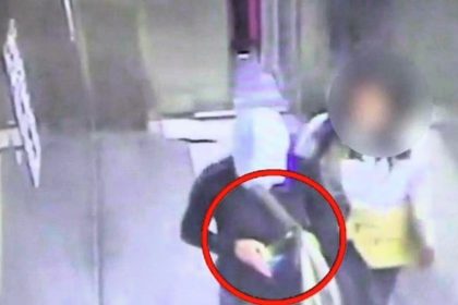 Serial pickpocketer Ana Zahirovic, with 148 convictions, finally jailed for 30 years after avoiding prison for 20 years due to repeated pregnancies. Now a mother of 10.