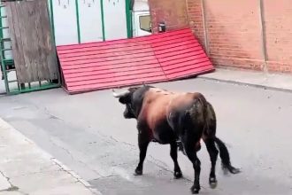 74-year-old man dies and three others, including a child, are injured after a bull breaks through a fence during a 'running of the bulls' event in Pantoja, Spain.