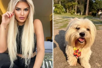 Influencer Marina Smith is on a quest to find a 'gay' boyfriend for her affectionate dog, Bartolomeu. The 6-year-old pooch prefers male dogs and is seeking a special companion.