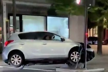 A stubborn swan caused traffic chaos near Brentford's stadium by waddling along the A4, forcing drivers to slow down and creating an impromptu roadblock.