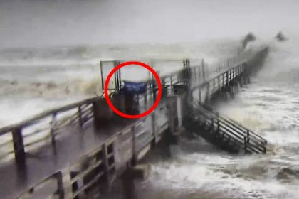 Amid Hurricane Milton's 120mph winds, a man is caught on CCTV braving the storm to raise a Trump 2024 flag on Naples pier. Over 3 million homes are without power.