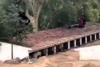 Dramatic rescue in Spain: 41 horses and 39 dogs saved from deadly floods at Malaga Equestrian Club, as catastrophic weather leaves the stables in ruins.