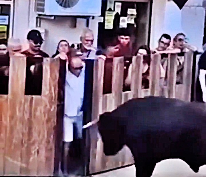 A man was gored by a bull in Portugal after provoking the animal, sparking online debate as footage of the incident garners over 7 million views. His injuries remain unclear.