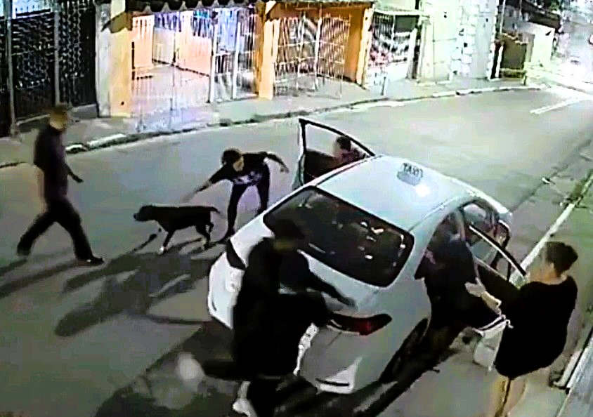 A brave mother unleashed her pit bull to fend off three thieves attacking her family in São Paulo, Brazil, forcing them to flee and saving her child from harm.