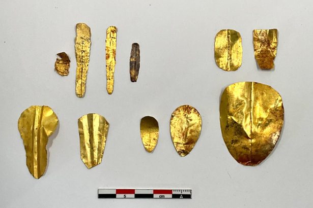 Archaeologists discover 13 golden tongues in ancient Egyptian tombs, believed to help the dead communicate with Osiris in the afterlife. Learn about this rare find!