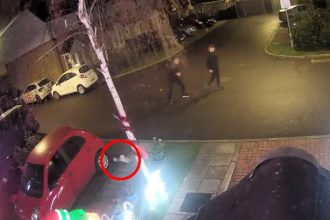 attempts to shoot a cat with a slingshot in Orpington. Incident caught on Ring camera as police investigate. Read full details here.