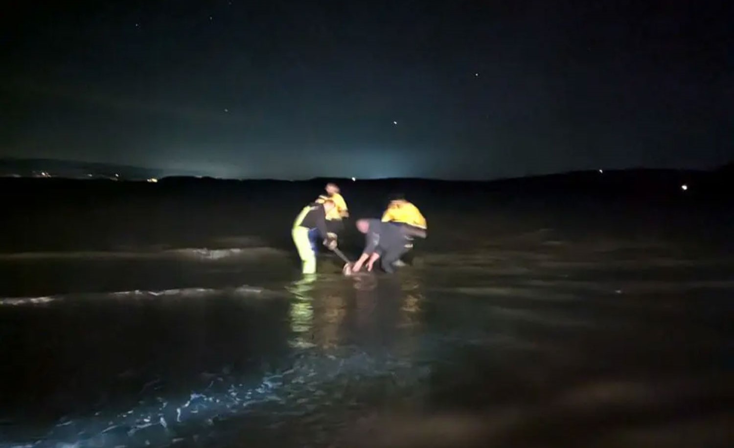 Huge shark washes up dead on Brit beach after getting stuck in fishing ...
