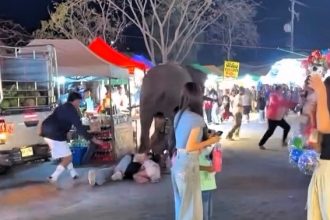 An elephant, spooked by fireworks at a fun fair in Phitsanulok, Thailand, went on a rampage, injuring five people before being safely rescued by officials.