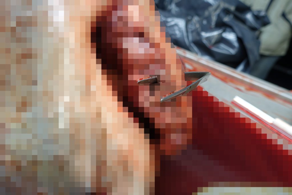 A post-mortem confirmed an endangered 14ft thresher shark found on Par Beach, Cornwall, was killed by an angler. Experts revealed it suffered significant trauma and internal hemorrhaging.