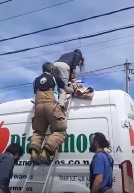 A paragliding tourist crash-landed into power lines in Bariloche, Argentina, causing a power outage for 3,000 residents. Rescued safely, she suffered burns but is recovering.