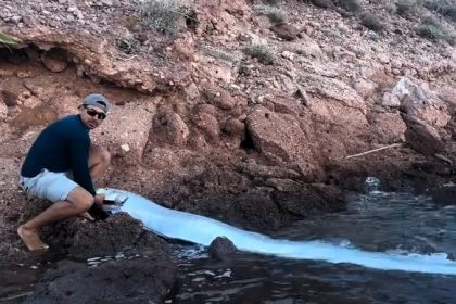 Second 'doomsday' oarfish sighted on Baja California Sur coast in two weeks, sparking fears of a natural disaster as locals recall myths linking oarfish to earthquakes.