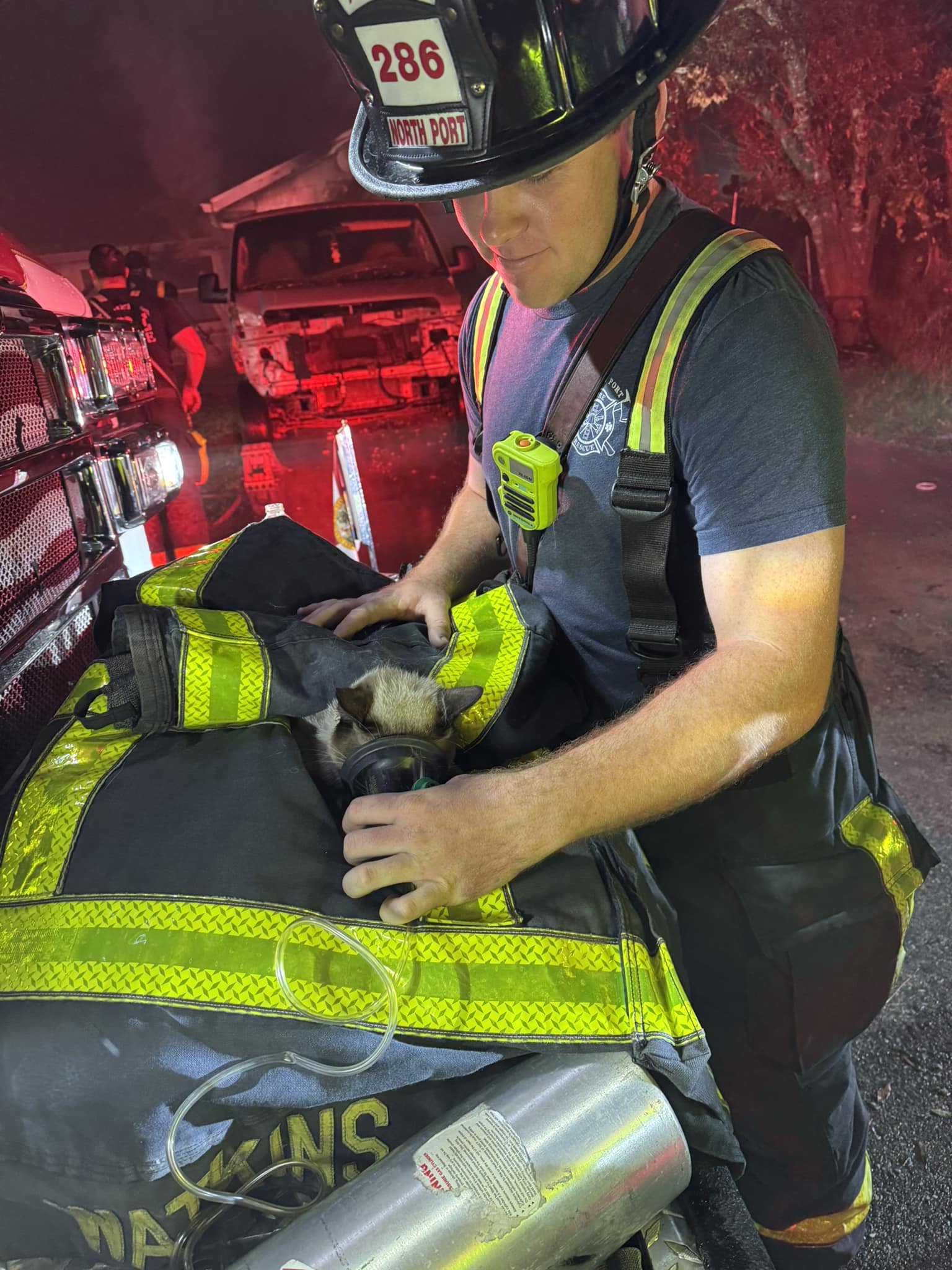 Four cats and one dog saved from blaze by firefighters thanks to tiny ...