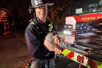 Hero firefighters save four cats and a dog from a house fire in Florida using specialized pet oxygen masks, highlighting the life-saving importance of these tools.