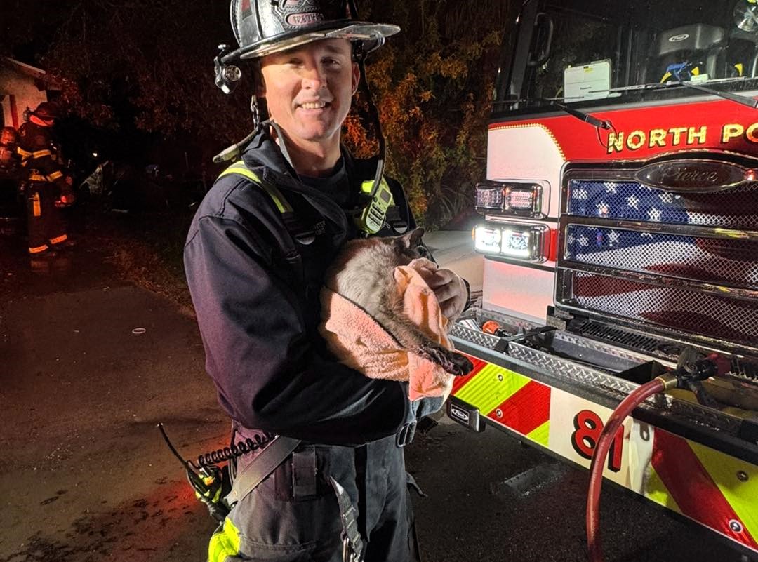 Hero firefighters save four cats and a dog from a house fire in Florida using specialized pet oxygen masks, highlighting the life-saving importance of these tools.