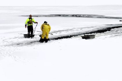 Forest rangers rescued a moose trapped in a frozen lake in New York, cutting a path through the ice to guide it to safety. The moose recovered and returned to the wild.