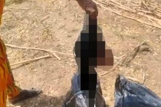 A gospel singer, Timileyin Ajayi, has been arrested in Karshi, Nigeria, after being found with his girlfriend's severed head in a bag. Authorities are investigating the shocking case.