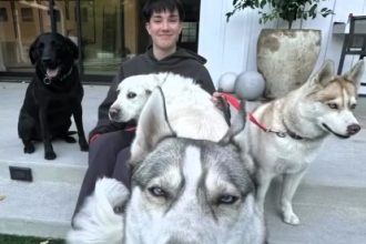 James Charles rescues two Huskies lost during LA wildfires, reuniting them with their family who lost their home. The heartfelt moment goes viral with 15.8M views.