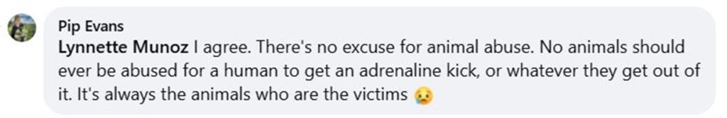 Social media comment on the post of An 11-foot endangered thresher shark washed up dead on Par Beach, Cornwall, sparking outrage. Experts blame sport fishing injuries, reigniting debates over fishing and marine conservation.