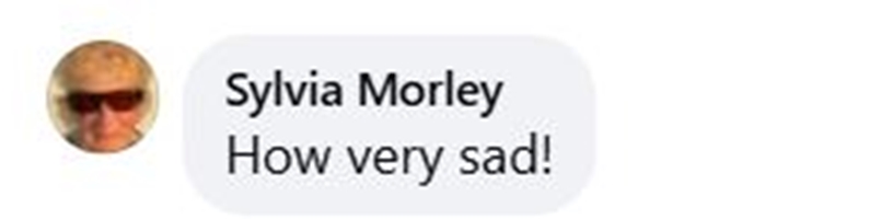 Social media comment on the post of An 11-foot endangered thresher shark washed up dead on Par Beach, Cornwall, sparking outrage. Experts blame sport fishing injuries, reigniting debates over fishing and marine conservation.