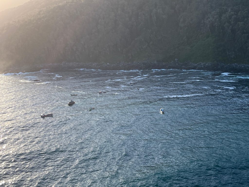 Seven lives were tragically lost when an overcrowded tourist boat with 34 passengers sank in Chile. Overcapacity, safety violations, and poor weather are under investigation.