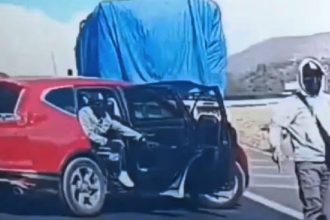 Watch a quick-thinking driver outsmart armed carjackers with daring reverse maneuvers on Mexico-Texcoco highway, escaping a high-stakes chase caught on dashcam.