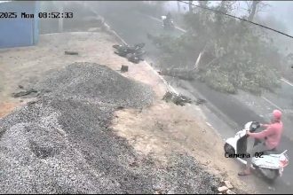 Two teachers tragically killed on their way to work in India after a falling tree, struck by a passing truck, crushed their scooter on the Sheohar State Highway.