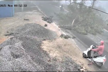 Two teachers tragically killed on their way to work in India after a falling tree, struck by a passing truck, crushed their scooter on the Sheohar State Highway.