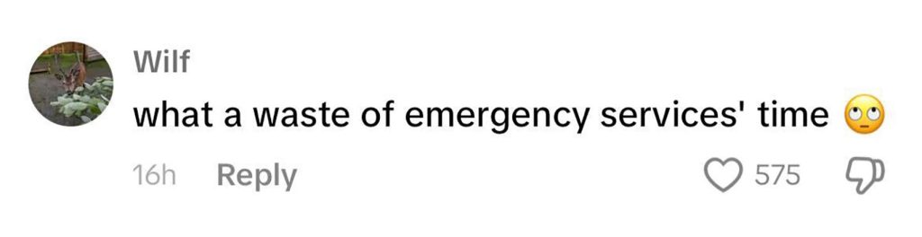 Social media comment on the post of Three tourists had to be rescued from the River Thames after getting stranded by the rising tide near Tower Bridge. The incident sparked backlash over wasted emergency resources.