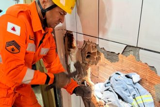 A 78-year-old man was rescued after getting stuck between walls while saving a chicken in Contagem, Brazil. Firefighters cut through brick to free him unharmed.