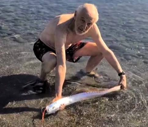 Rare oarfish washes up on Canary Islands beach, sparking fears of an impending disaster as the deep-sea creature is often seen as a bad omen in mythology.