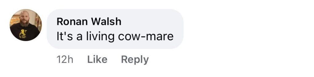 Social media comment on the post of A thief steals a life-sized plastic cow from a farm in North Yorkshire, leaving locals and police amused by the bizarre crime and desperate for its return.