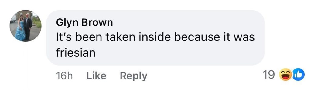 Social media comment on the post of A thief steals a life-sized plastic cow from a farm in North Yorkshire, leaving locals and police amused by the bizarre crime and desperate for its return.