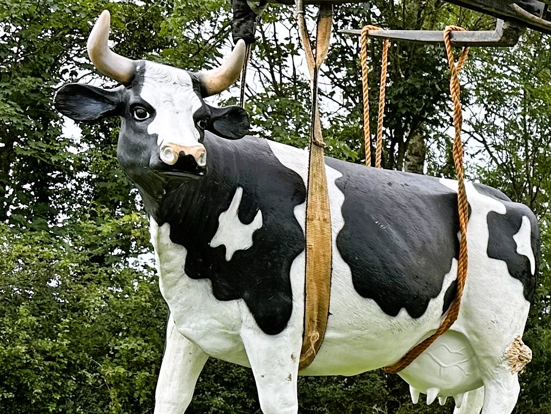 A thief steals a life-sized plastic cow from a farm in North Yorkshire, leaving locals and police amused by the bizarre crime and desperate for its return.